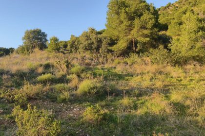 b8ac3e769d3fdbfe733e72b73b2ad28b - 8