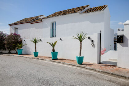 ba20ef8a4565564c1671b2d8aa39ff7a - 1