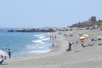 ba57ba588977673af78bf9fe28e2a447 - 22