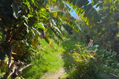 badbc30f50caa5a527486a3b3e744772 - 6