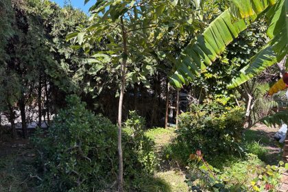 badbc30f50caa5a527486a3b3e744772 - 8