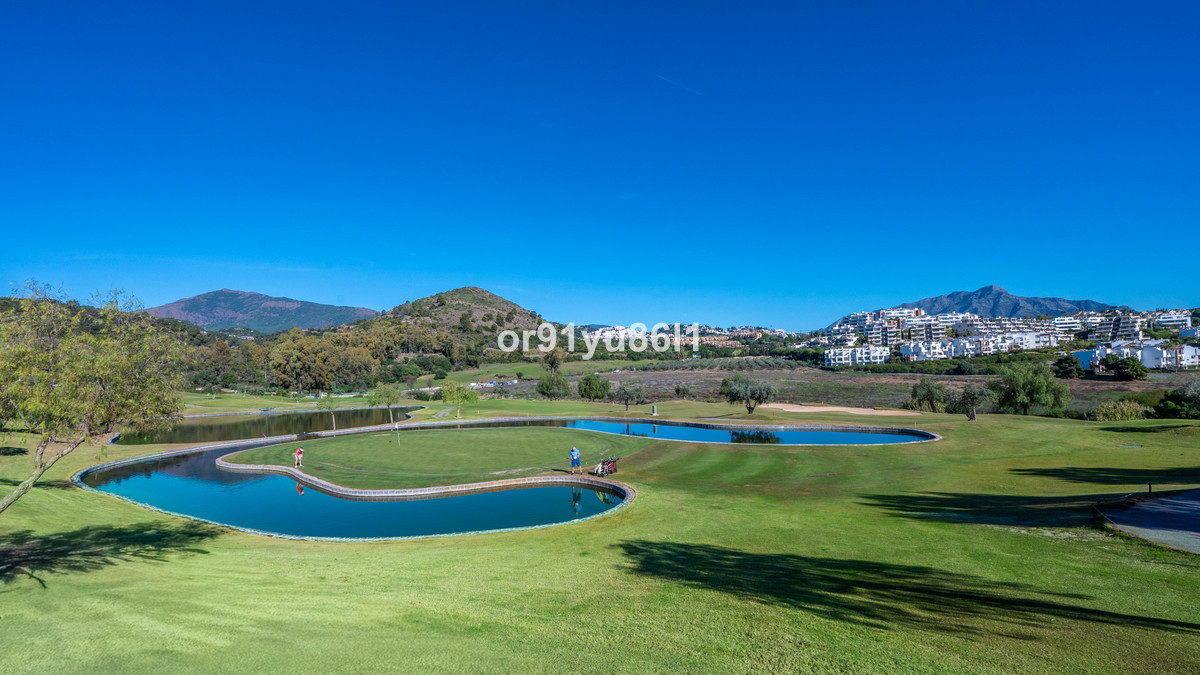 bfd47656e8f74e8923dde5e7eba66463 - 18