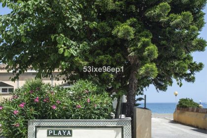 c0cbf9a9647958c2a644c91a141f0f4d - 29