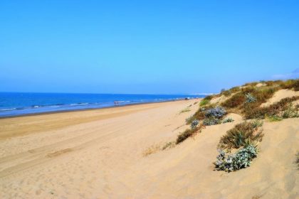 c5a234c729657669683edd50e3f2c5d3 - 5