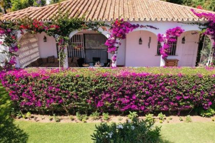 c6b1109025aa99b41ed5944fb81299a6 - 10