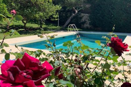 c6b1109025aa99b41ed5944fb81299a6 - 11