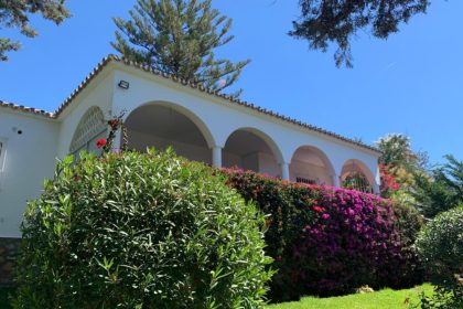 c6b1109025aa99b41ed5944fb81299a6 - 12