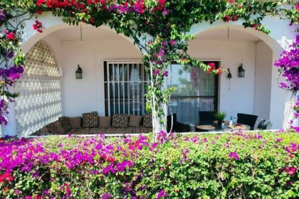 c6b1109025aa99b41ed5944fb81299a6 - 16