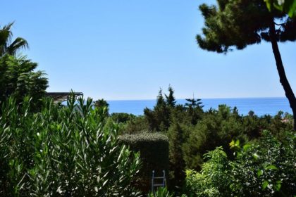 c6b1109025aa99b41ed5944fb81299a6 - 3