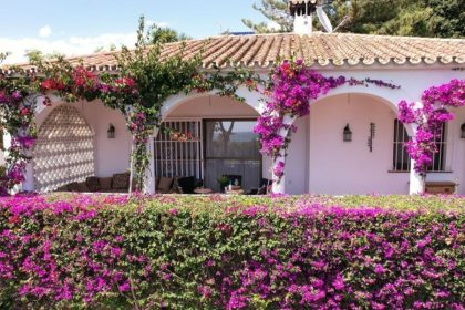 c6b1109025aa99b41ed5944fb81299a6 - 4