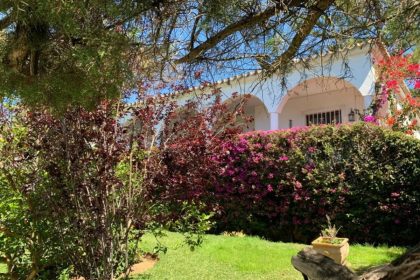 c6b1109025aa99b41ed5944fb81299a6 - 5