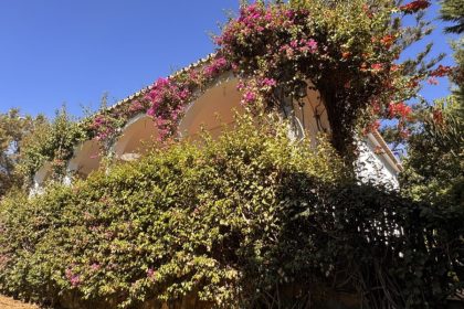 c6b1109025aa99b41ed5944fb81299a6 - 9