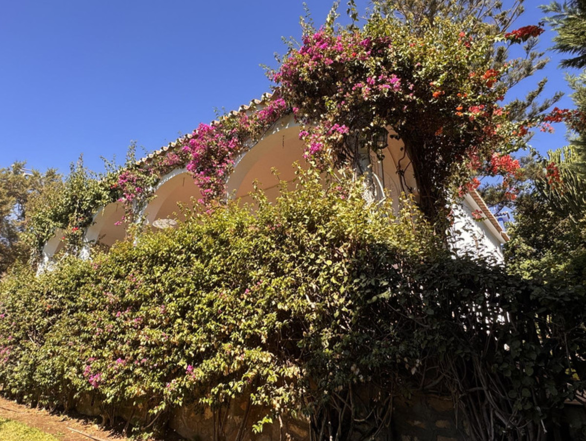 c6b1109025aa99b41ed5944fb81299a6 - 9