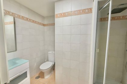 c6e335471afcd93d979e6c9129cf7539 - 21