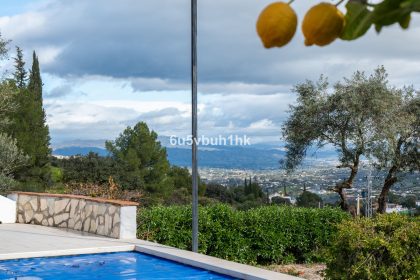 c775a54298b3aa5571a58e92f9e44319 - 14