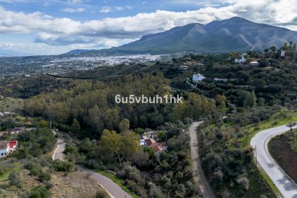 c775a54298b3aa5571a58e92f9e44319 - 8