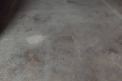 c8615d087a3083d2f64ac5aebf838d69 - 14