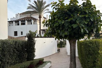 c901f69fe9fa9e277509f40cfeb8c359 - 29