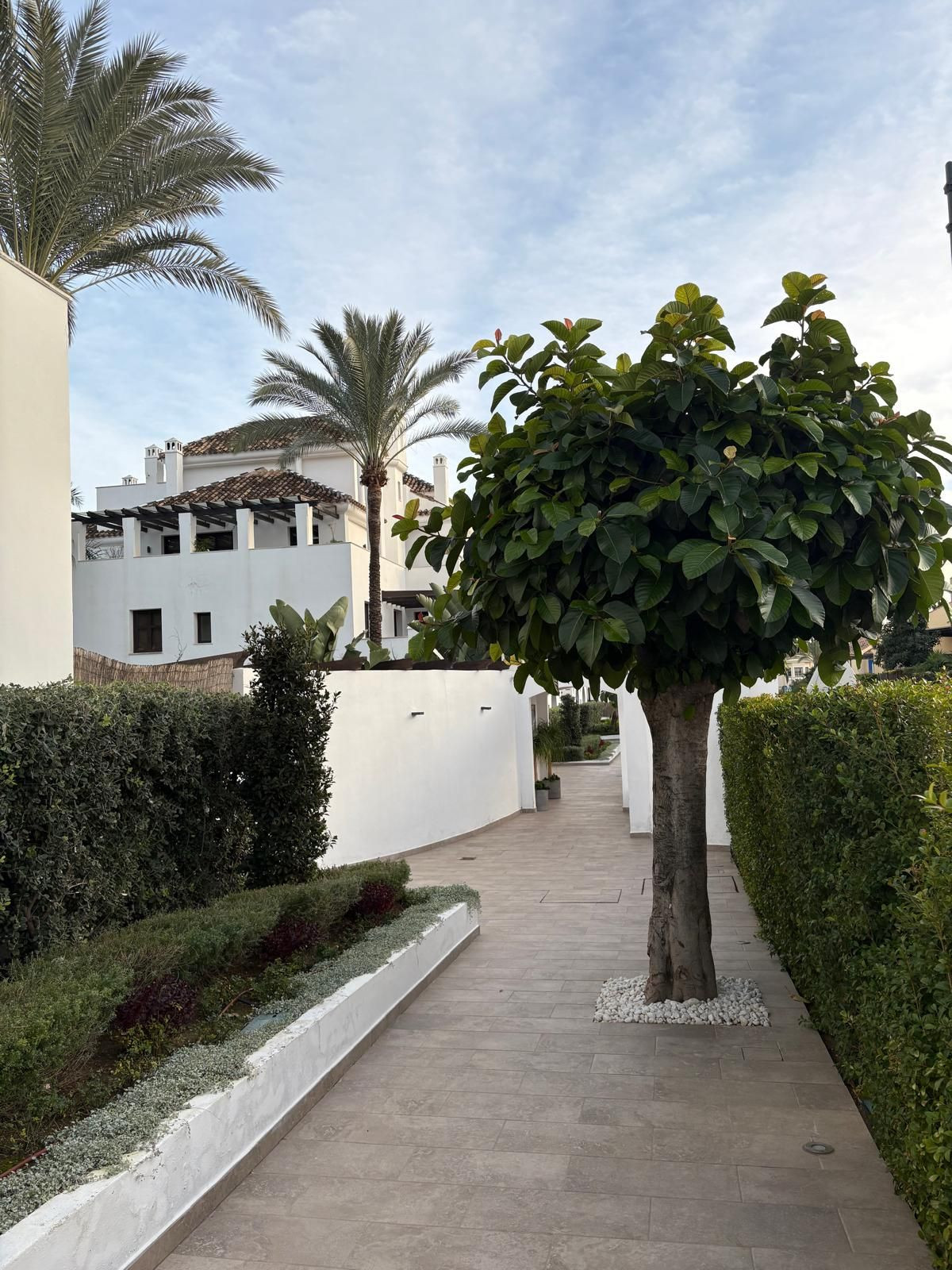 c901f69fe9fa9e277509f40cfeb8c359 - 29