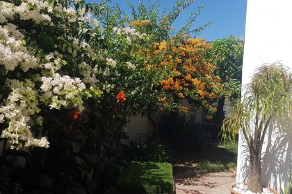 ca44e776b9c582b0d15a60e0c67c4cd2 - 20