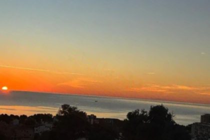 cae567a621232874d823ece201bff4b9 - 1