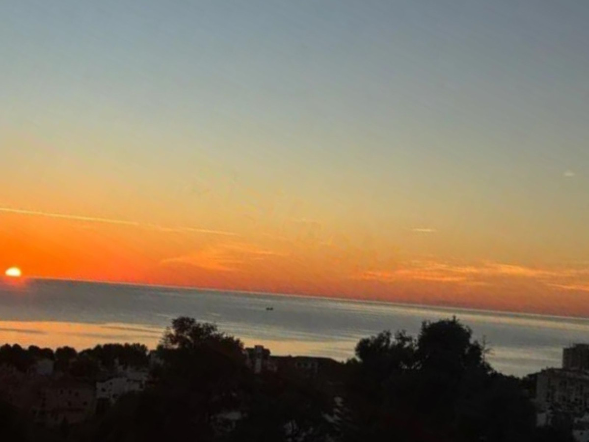 cae567a621232874d823ece201bff4b9 - 1