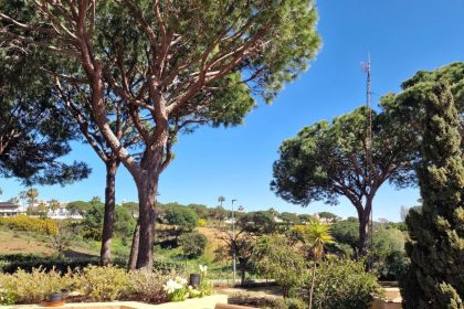 cb0c03bb9ec038e60cad13d0f10c12b0 - 9