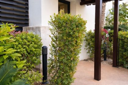 ce1c05f5e0097d844134ed57fb39e470 - 15