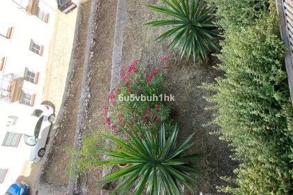 ce6be5ea6cde7df237a1a4d2ab0eb7d7 - 21