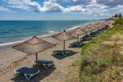 cedd8ff9226df36f14a3fdd7a0b1b633 - 50