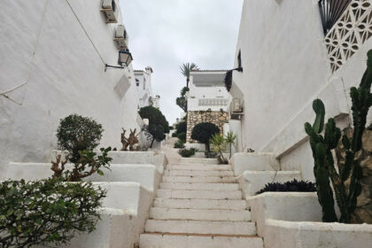 d2322116ca1405a0a3b9f29ffdf05a1a - 26