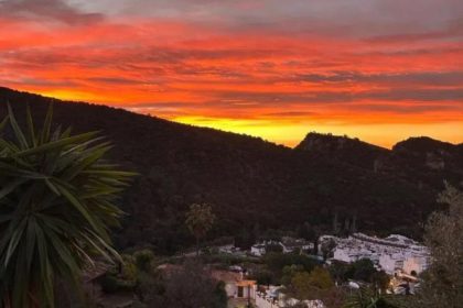 d2c95826b34deb7bdaef738c3487262f - 2