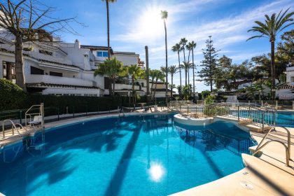 d504402080fe0f16bfe9e1cfe655614d - 36