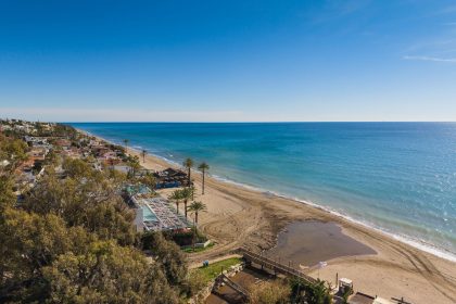 d504402080fe0f16bfe9e1cfe655614d - 42