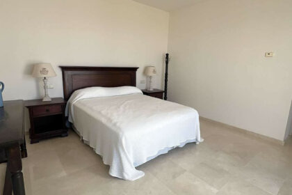 d5dc9aca37897d6a9188efbd27ada288 - 31