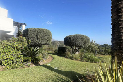 d5dc9aca37897d6a9188efbd27ada288 - 44