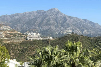 d5dc9aca37897d6a9188efbd27ada288 - 7