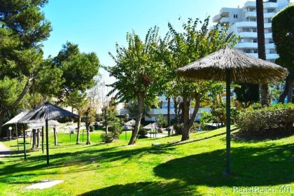 d6e9d61e3e24df84cf8ffddfa2c191ff - 10