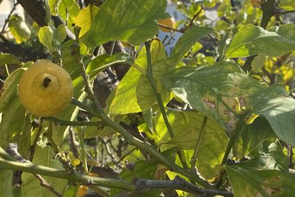 d710ac66866c0aa18153f040c8149cd3 - 57