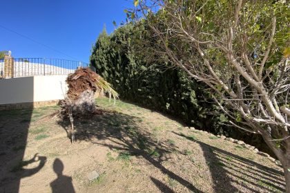 d710ac66866c0aa18153f040c8149cd3 - 61