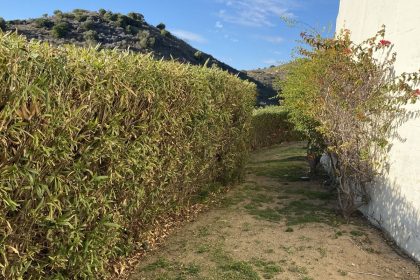 d710ac66866c0aa18153f040c8149cd3 - 62