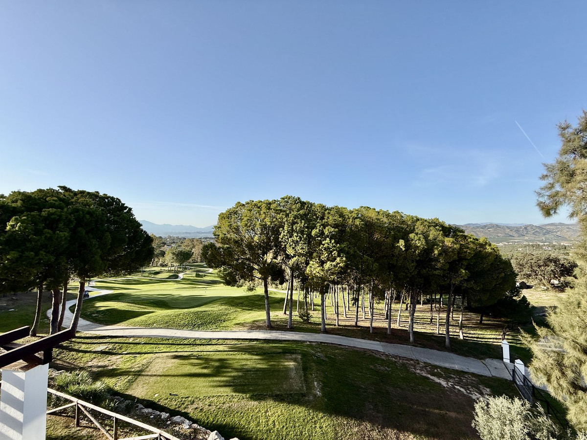 d7327d9c1fc9890412497378990297ee - 24