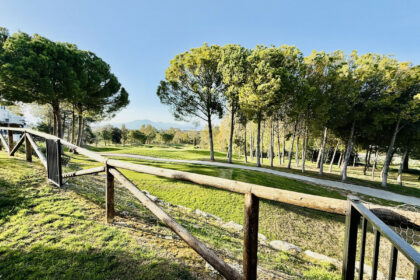 d7327d9c1fc9890412497378990297ee - 3