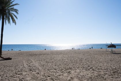 d9ff7a33278a589008a1ea6d27e85f73 - 63