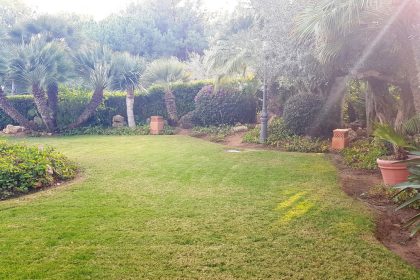 da2b513014c8b0211dbc11a692646811 - 13