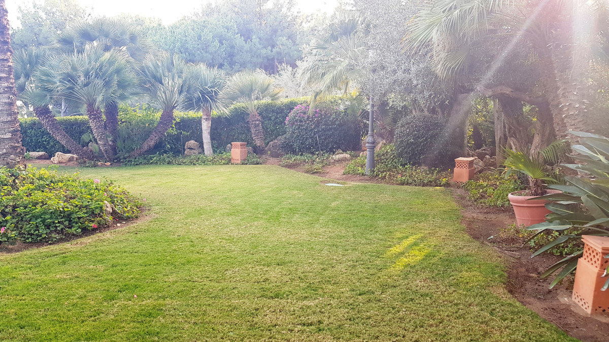 da2b513014c8b0211dbc11a692646811 - 13