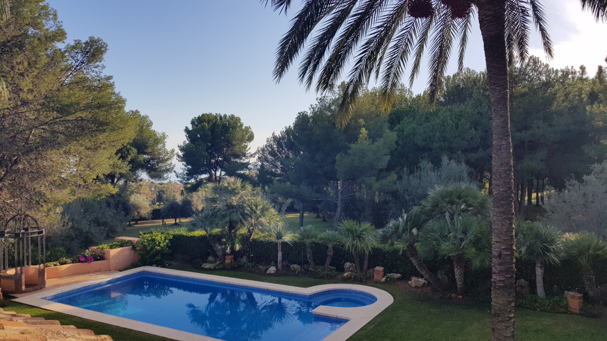 da2b513014c8b0211dbc11a692646811 - 26