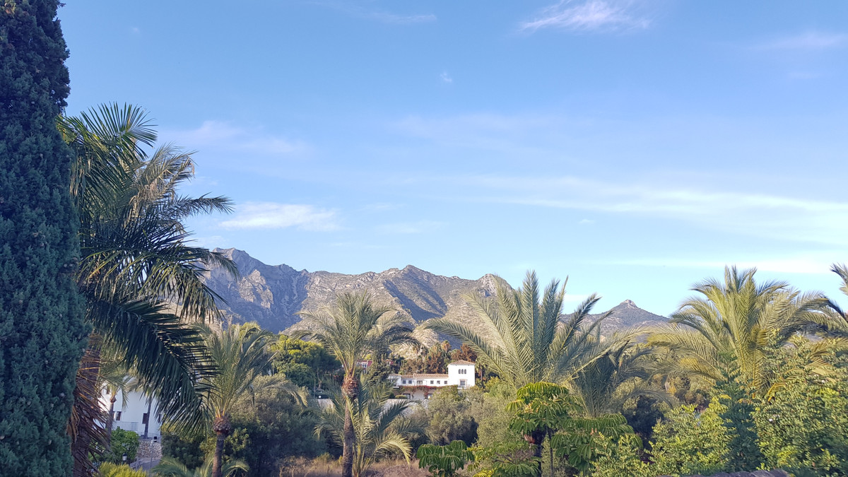 da2b513014c8b0211dbc11a692646811 - 33