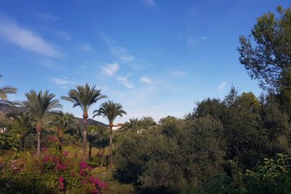 da2b513014c8b0211dbc11a692646811 - 34