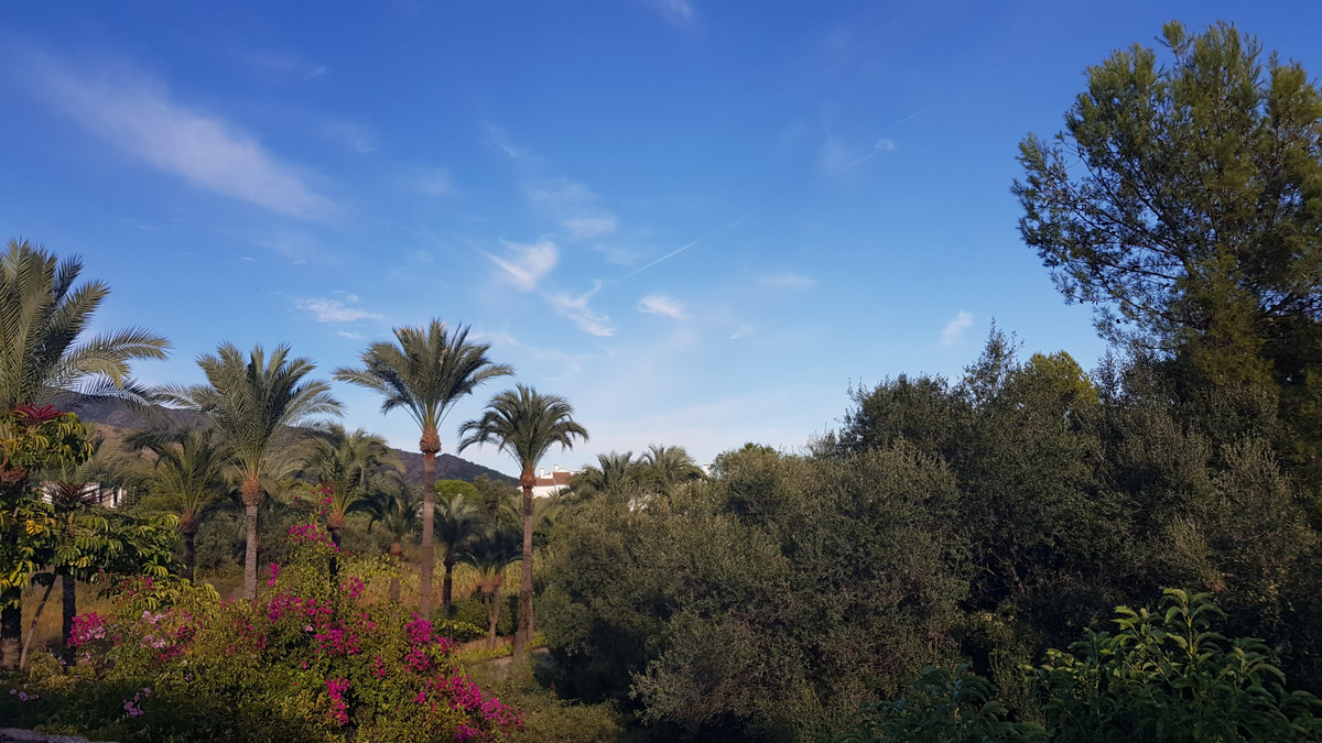 da2b513014c8b0211dbc11a692646811 - 34